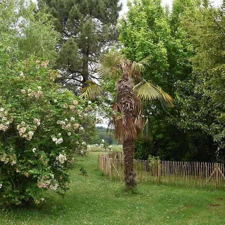 La Carolie Le Figuier * Mauzac-et-Grand-Castang